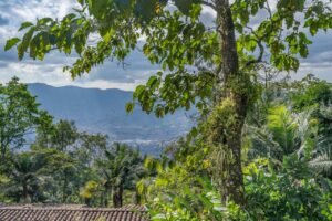 Casa Campestre En Venta En Los Balsos